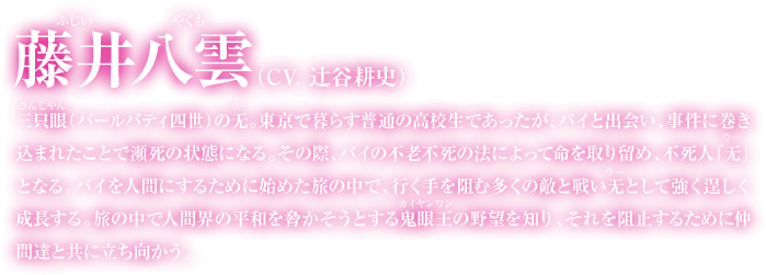 藤井八雲の紹介