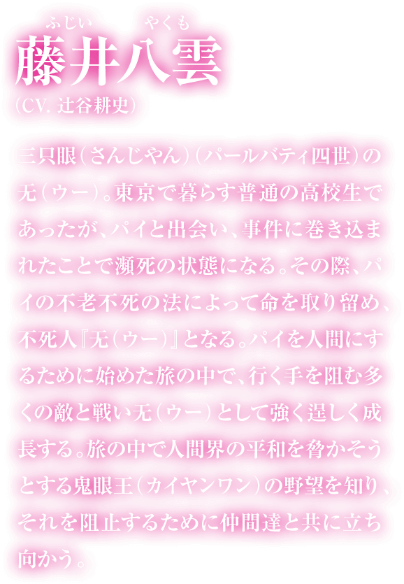 藤井八雲の紹介