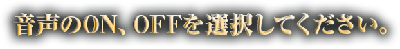 音声のON、OFFを選択してください。