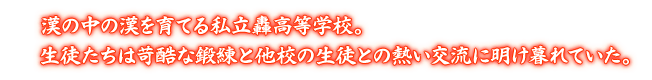 漢の中の漢を育てる私立轟高等学校。生徒たちは苛酷な鍛練と他校の生徒との熱い交流に明け暮れていた。