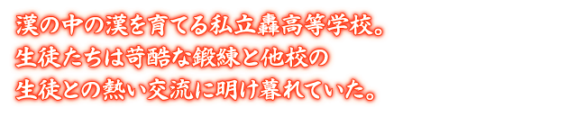 漢の中の漢を育てる私立轟高等学校。生徒たちは苛酷な鍛練と他校の生徒との熱い交流に明け暮れていた。