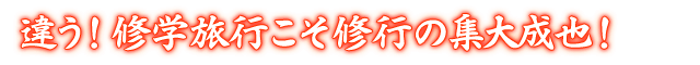 違う！修学旅行こそ修行の集大成也！