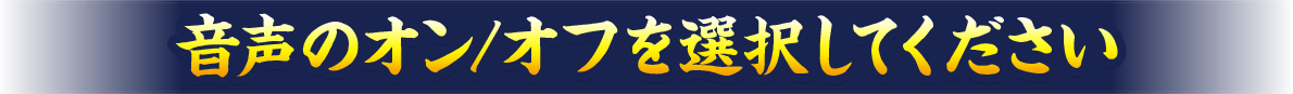 音声のオンオフを選択してください