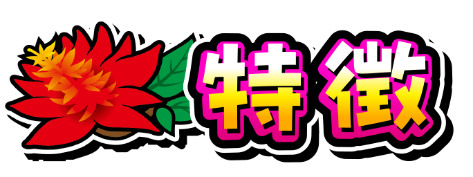 特徴